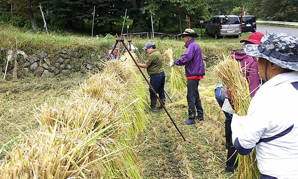 画像：棚田オーナー制度のイメージ