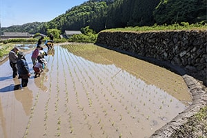 画像：「田植え」