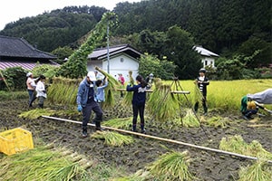 画像：「稲刈り」