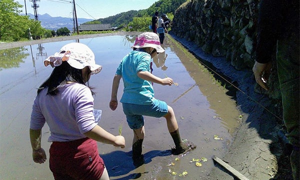 画像：地権者といつもいっしょの米づくりをしていただきます