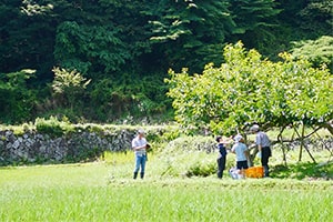 画像：地元住人や他のオーナーとのコミュニケーションを大切にしていただきます