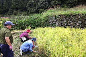 画像：美しい景観と地元住人の生活を大切にしていただきます