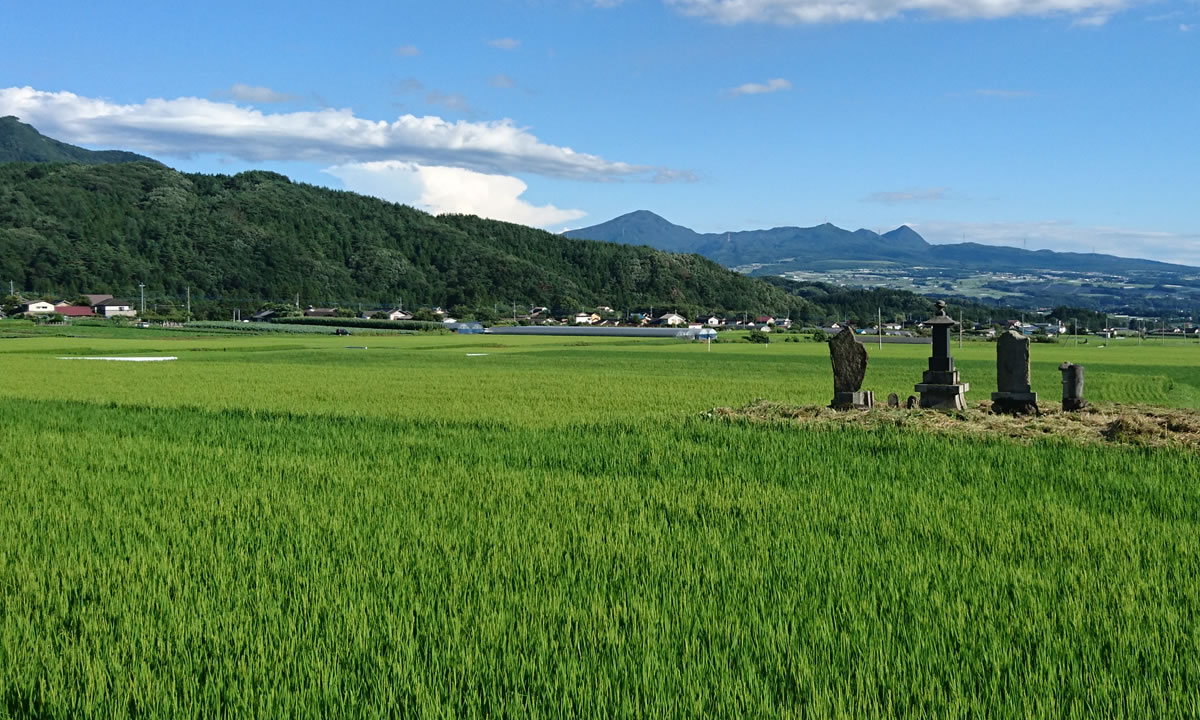 画像：地域に根ざしたハート