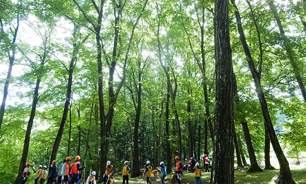 画像:こども里山自然学校のイメージ
