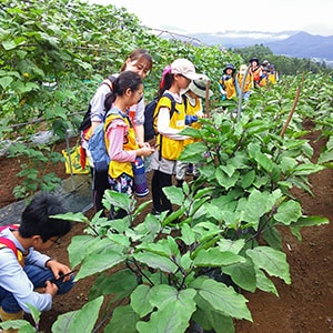 画像:夏の教室のイメージ写真