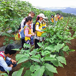 画像：夏の教室のイメージ写真