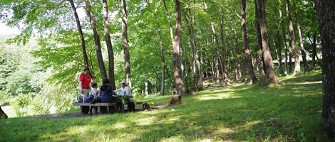 画像：健康村 友の会