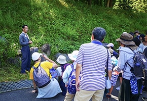 画像：お料理のイメージ