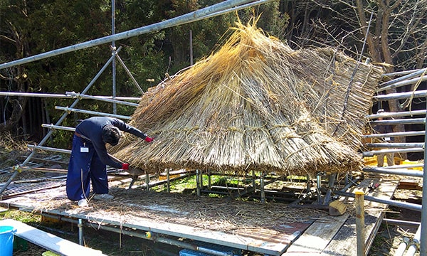 画像：茅葺きコースのイメージ