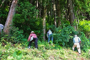 画像：第2回「里山の草刈り」・「山際の除伐」