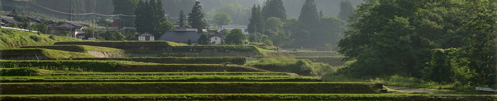 写真：川場村