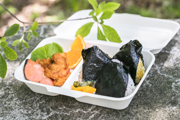 Activity lunch (Japanese style)