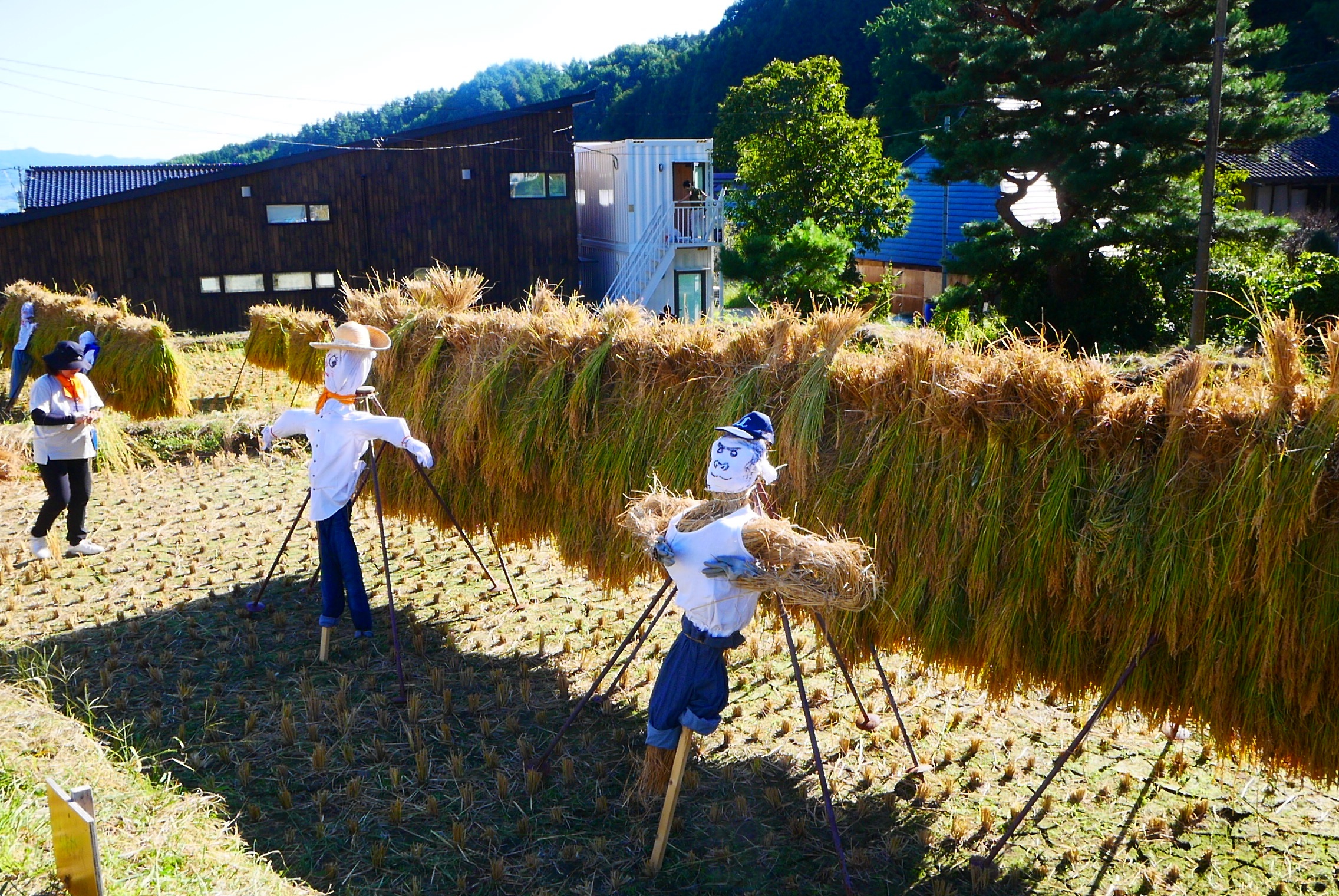 棚田オーナー制度 アーカイブ - 世田谷区民健康村