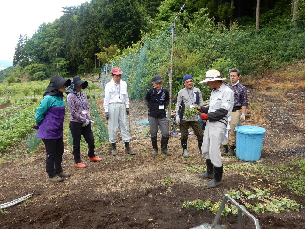 農業技術教室 第3回（2019年6月8日～9日）