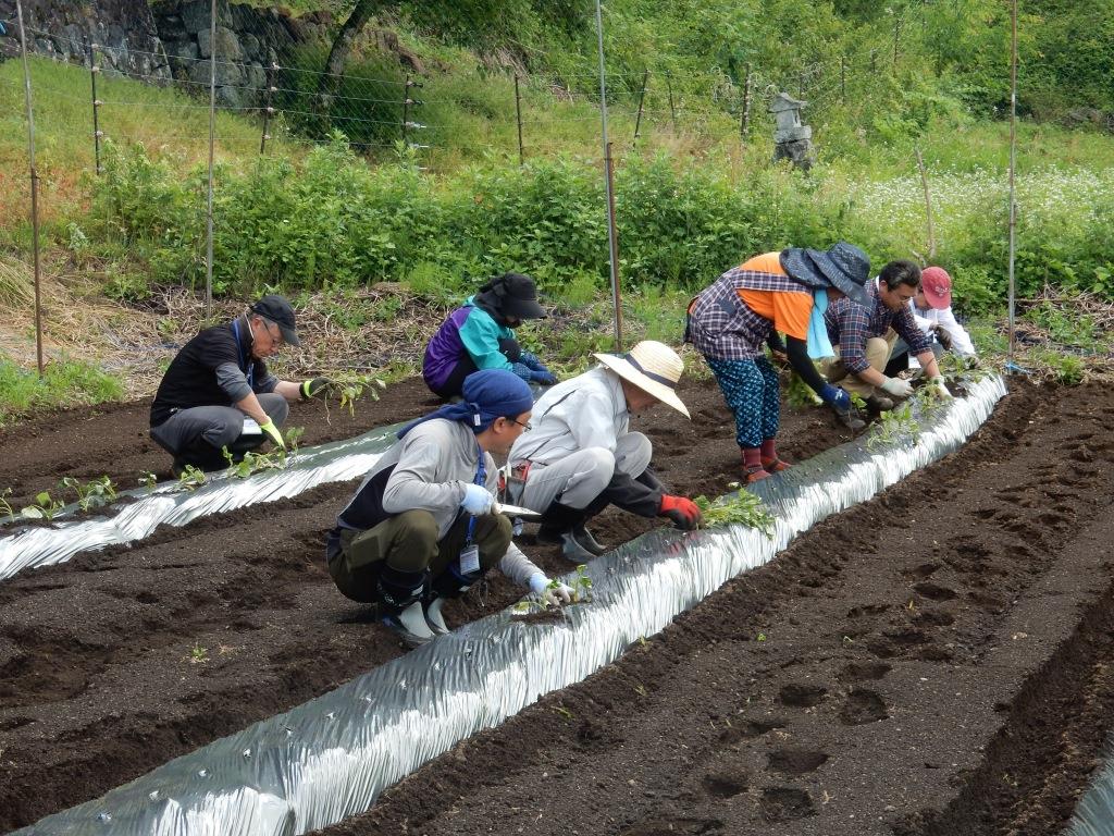 農業技術教室 第3回（2019年6月8日～9日）