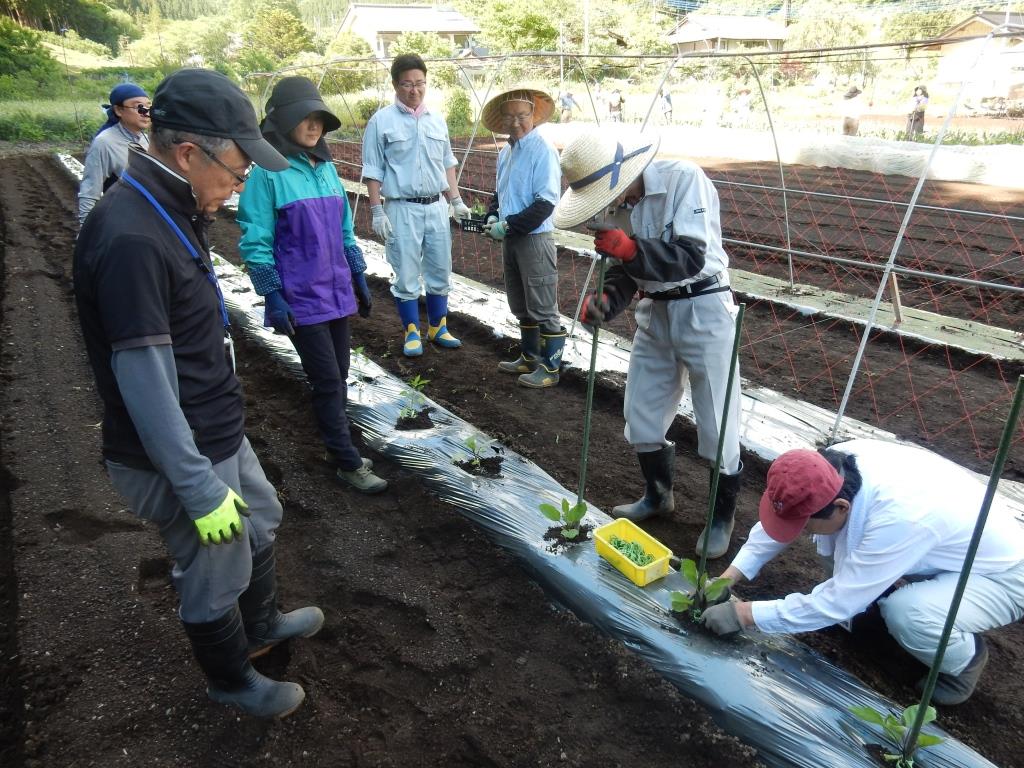 農業技術教室 第3回（2019年6月8日～9日）