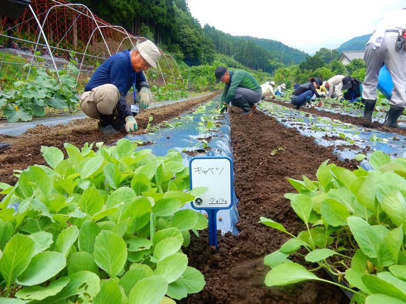 農業技術教室 第4回（2019年7月13日～14日）