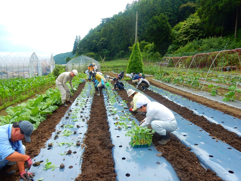 農業技術教室 第4回（2019年7月13日～14日）