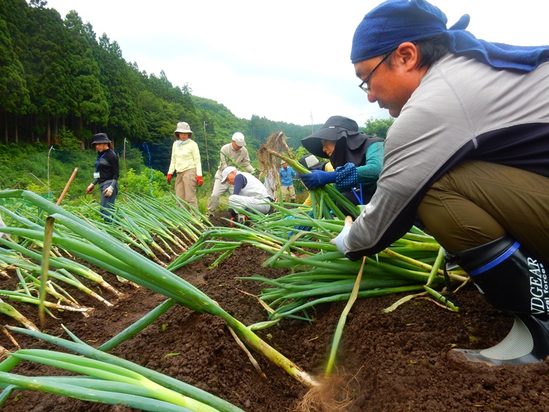 農業技術教室 第4回（2019年7月13日～14日）