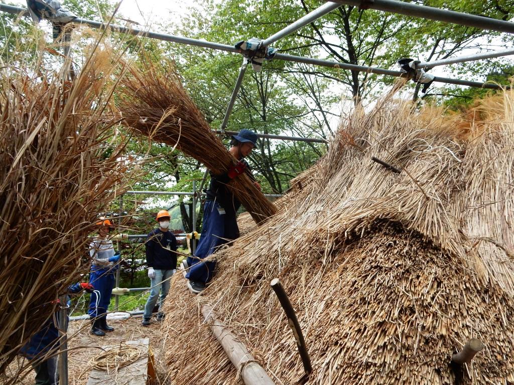 第2回おとなの里山コース(2019年5月18日~19日)