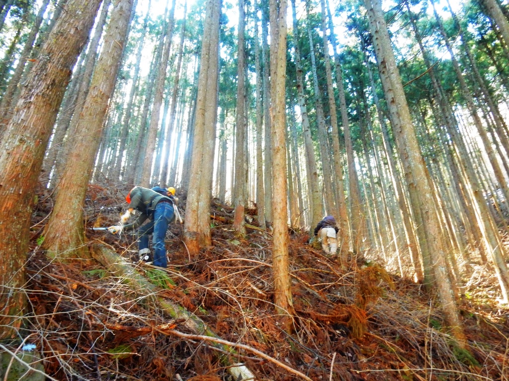 第1回おとなの里山コース(2019年4月13日~14日)