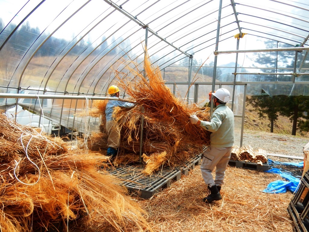 第1回おとなの里山コース(2019年4月13日~14日)