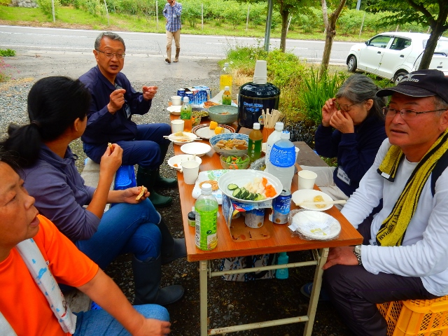 棚田オーナー制度 第2回 (2019年6月22日~23日)