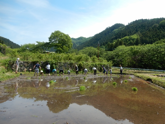 棚田オーナー制度 第1回
(2019年5月25日~26日)