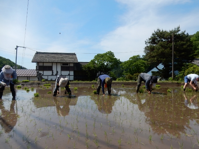 棚田オーナー制度 第1回
(2019年5月25日~26日)
