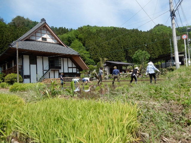 棚田オーナー制度 第1回
(2019年5月25日~26日)