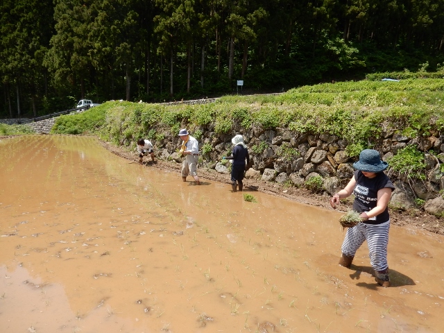 棚田オーナー制度 第1回
(2019年5月25日~26日)