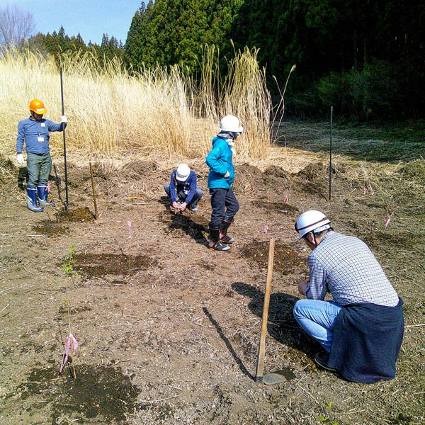植林・地域(道普請)のお手伝い