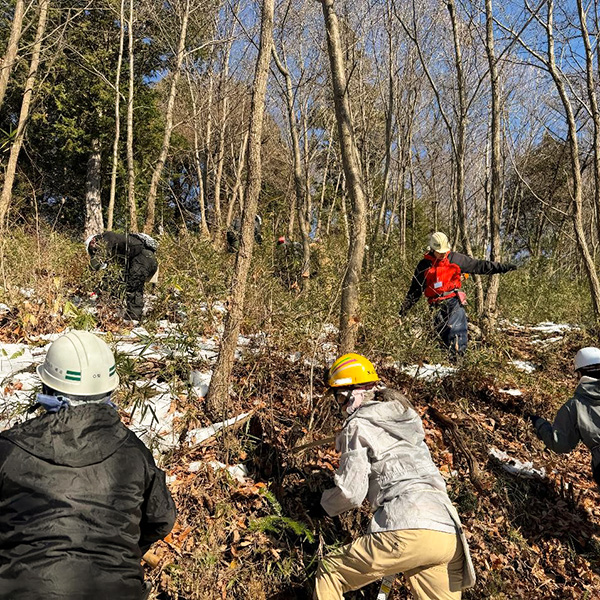 山の手入れ（除間伐）