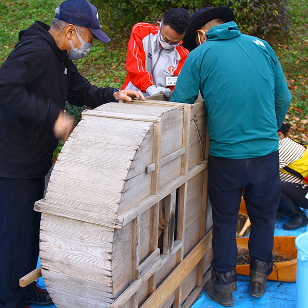 脱穀・選別の様子