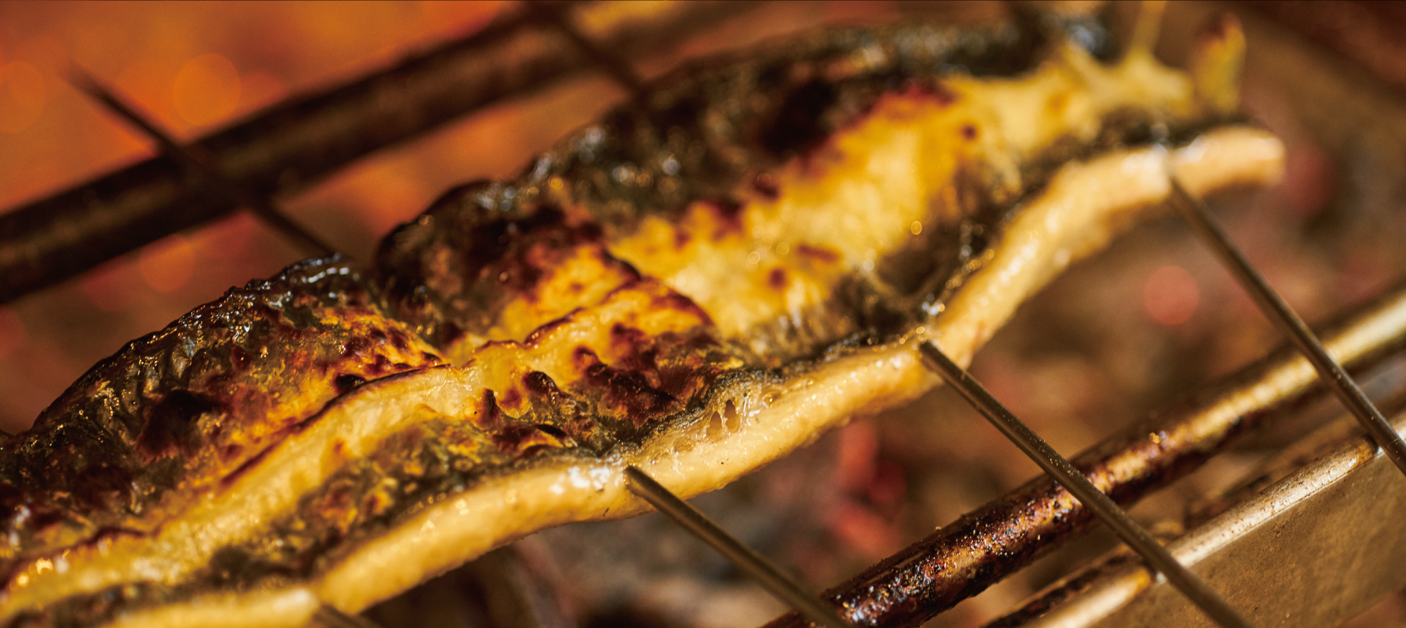 スライドイメージ焼き魚の写真